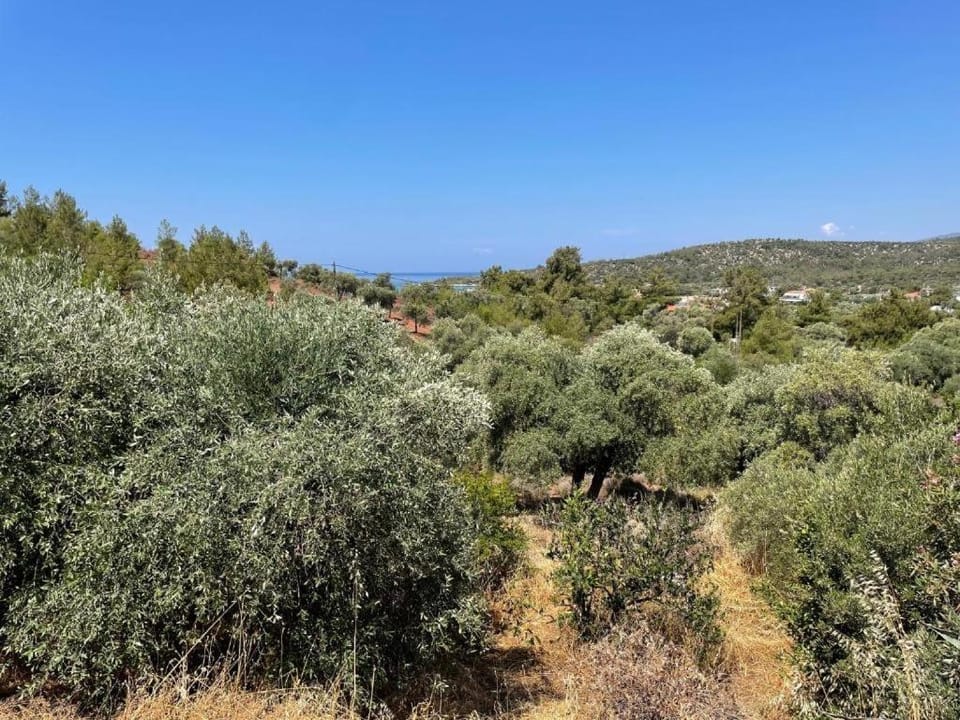 Ktima Anna Apartment in Thasos