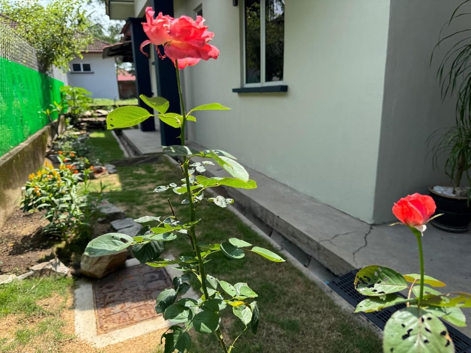 Homestay Kemaman - Berado D Kemuning House in Terengganu, Malaysia