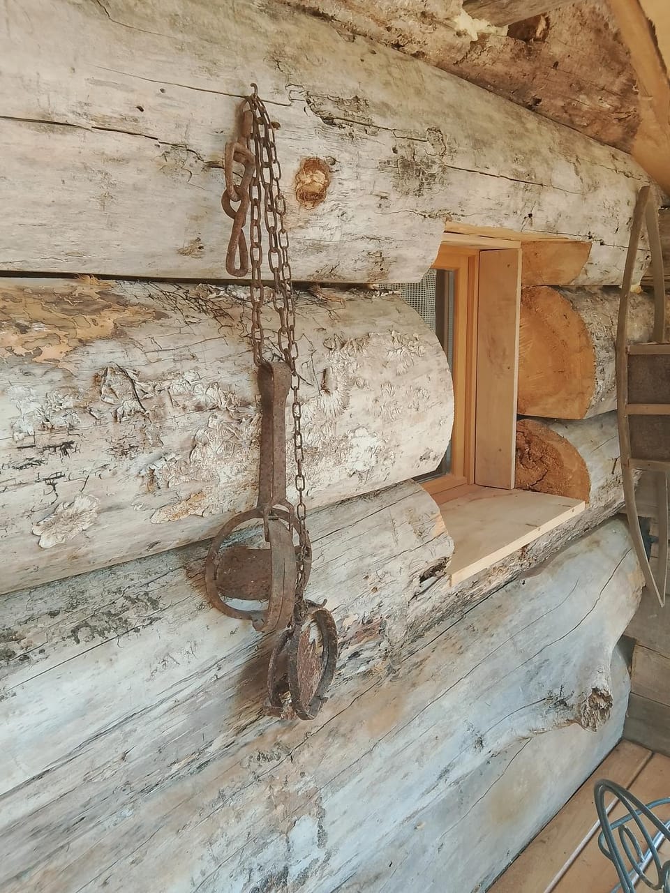 cabane de trappeur Chalet in Occitanie