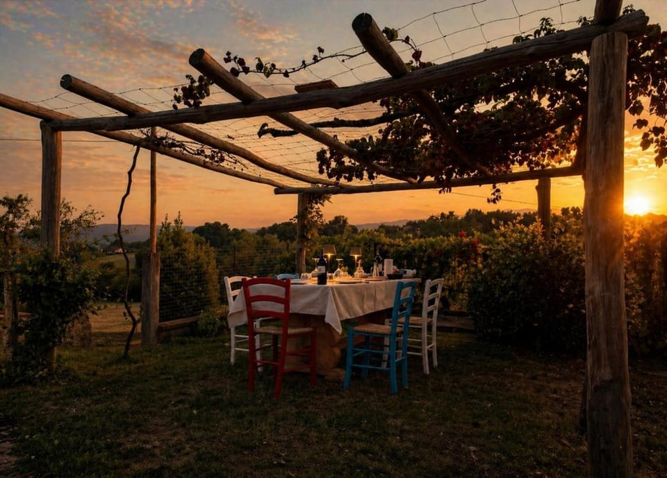 Spring, Day, Food and drinks, Garden view, Alcoholic drinks, Sunset