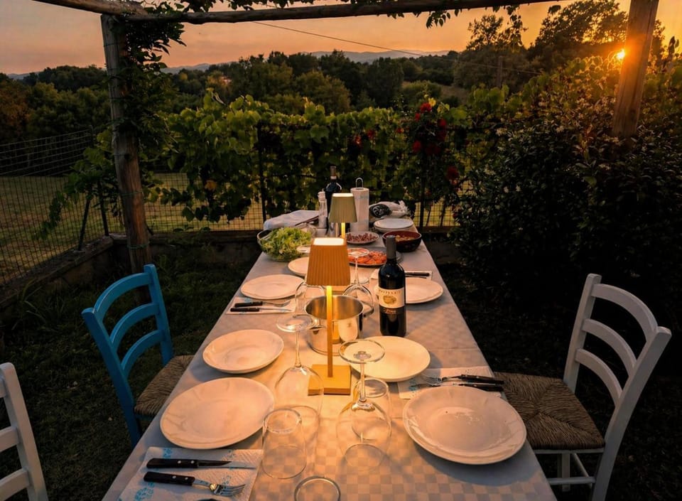 Natural landscape, Garden, Food and drinks, Food, Garden view, Drinks, Alcoholic drinks, Sunset