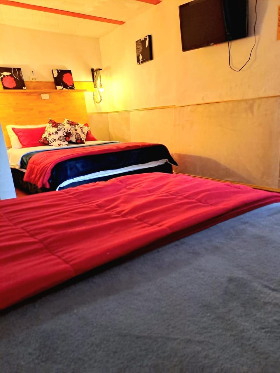 Bed, TV and multimedia, Photo of the whole room, Bedroom