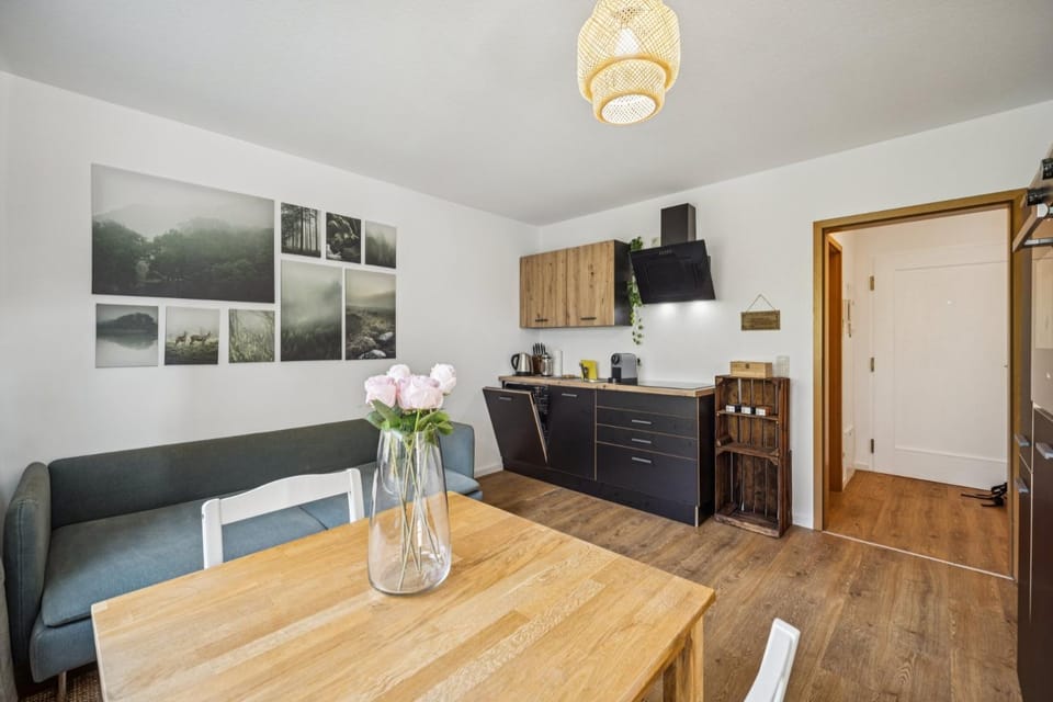 Kitchen or kitchenette, Dining area, oven, stove