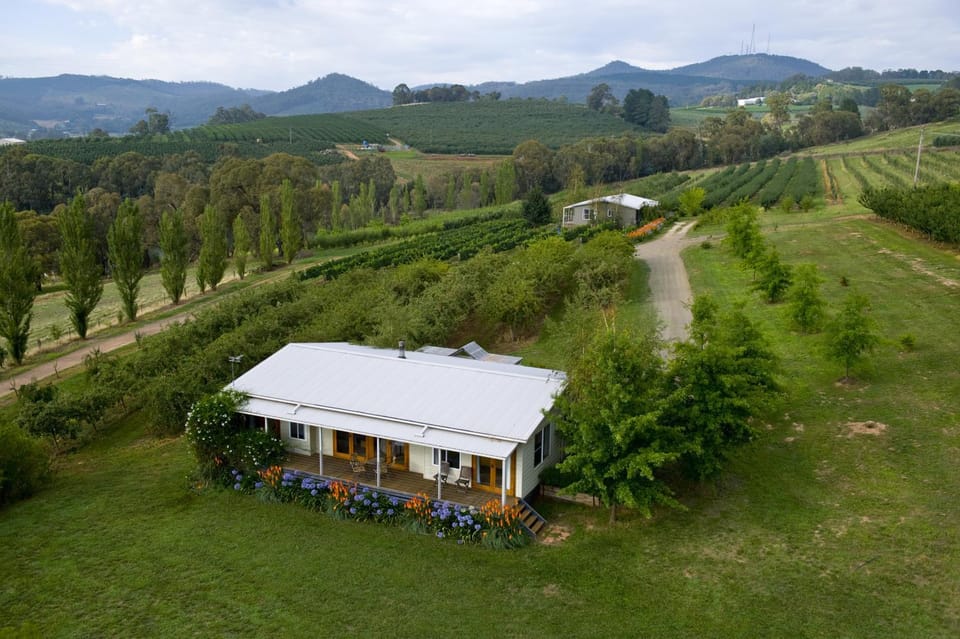 Day, Bird's eye view