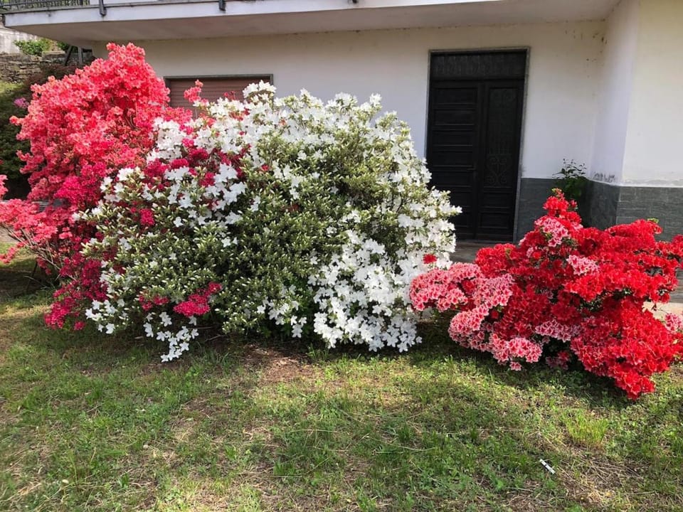 Il Nespolo House in Piedmont