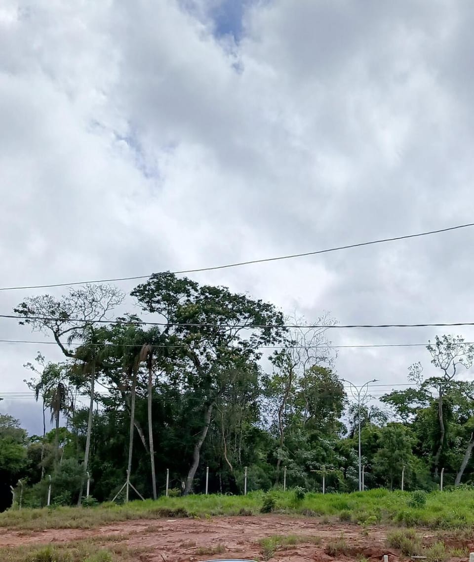 Friends of Nature House Apartment in Cotia