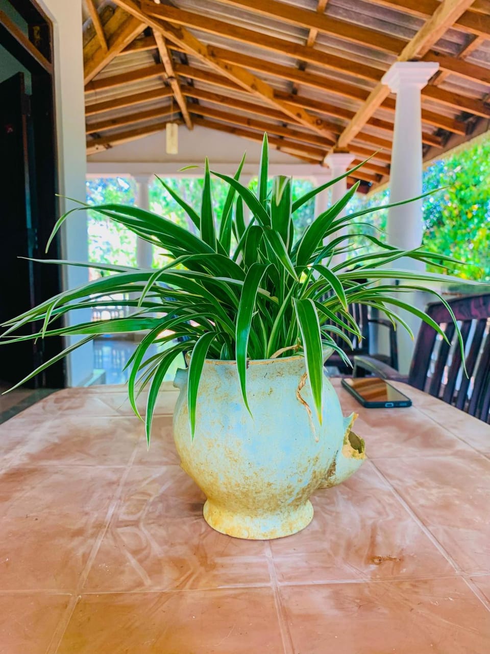 Patio, Day, Garden, Dining area, Garden view
