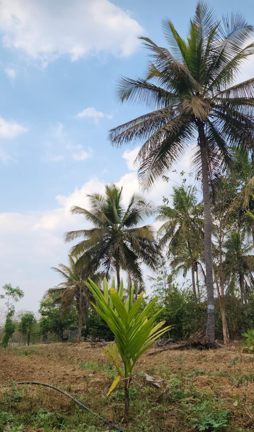 Siridhama Farm Campground/ 
RV Resort in Karnataka