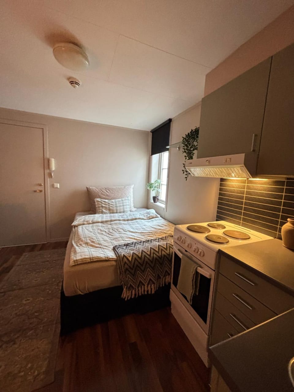 Super central studio apartment Apartment in Tromso