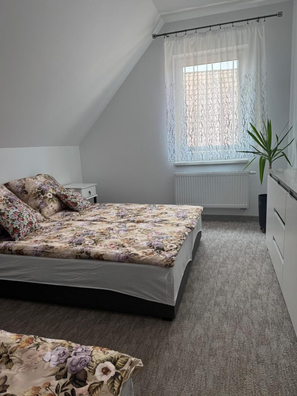 Apartament przy Lesie - Domki u Piotrusia Apartment in Pomeranian Voivodeship