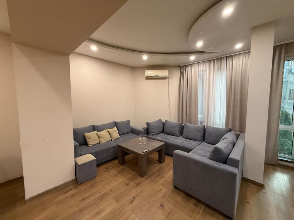 Living room, Seating area, air conditioner
