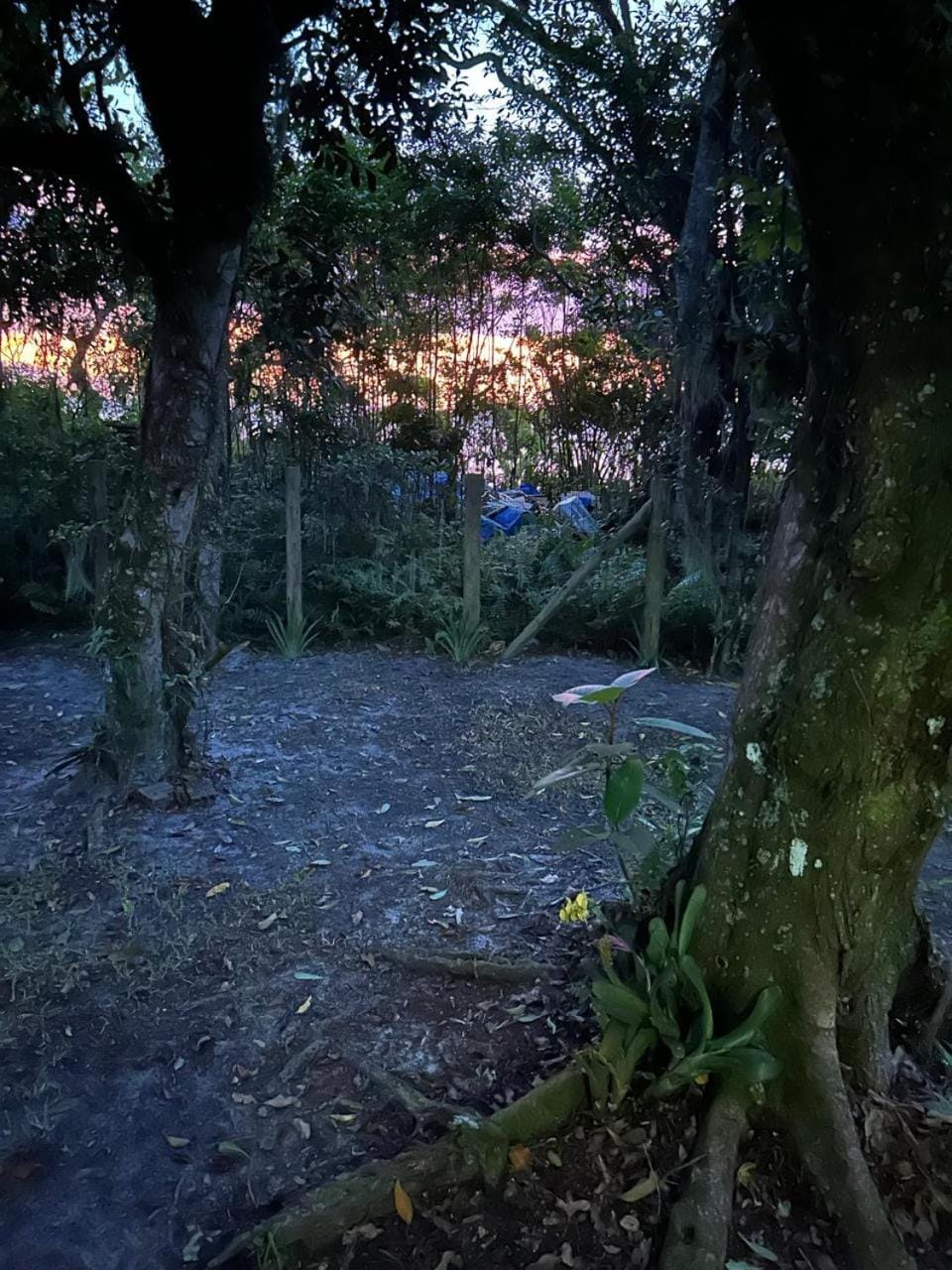 Casa charmosa e pé na areia na Ilha do Mel - Nova Brasília House in State of Paraná