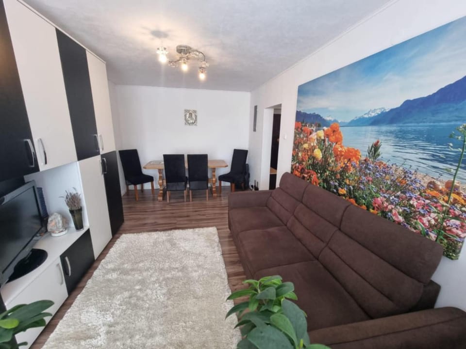 La Ficus Apartment in Romania
