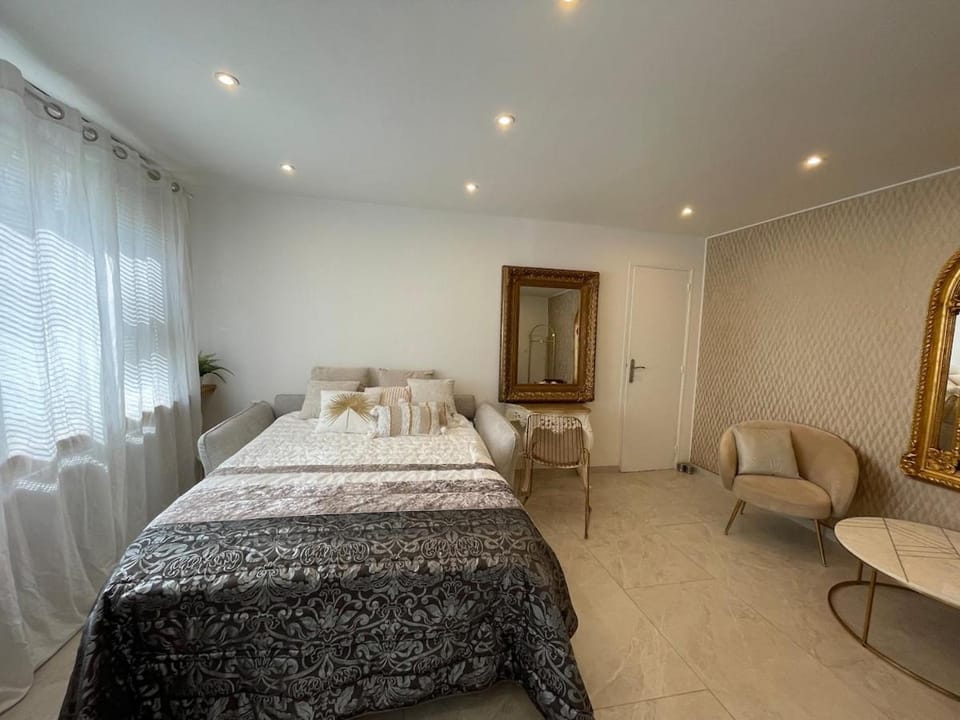 Les Miroirs d Alsace Apartment in Strasbourg