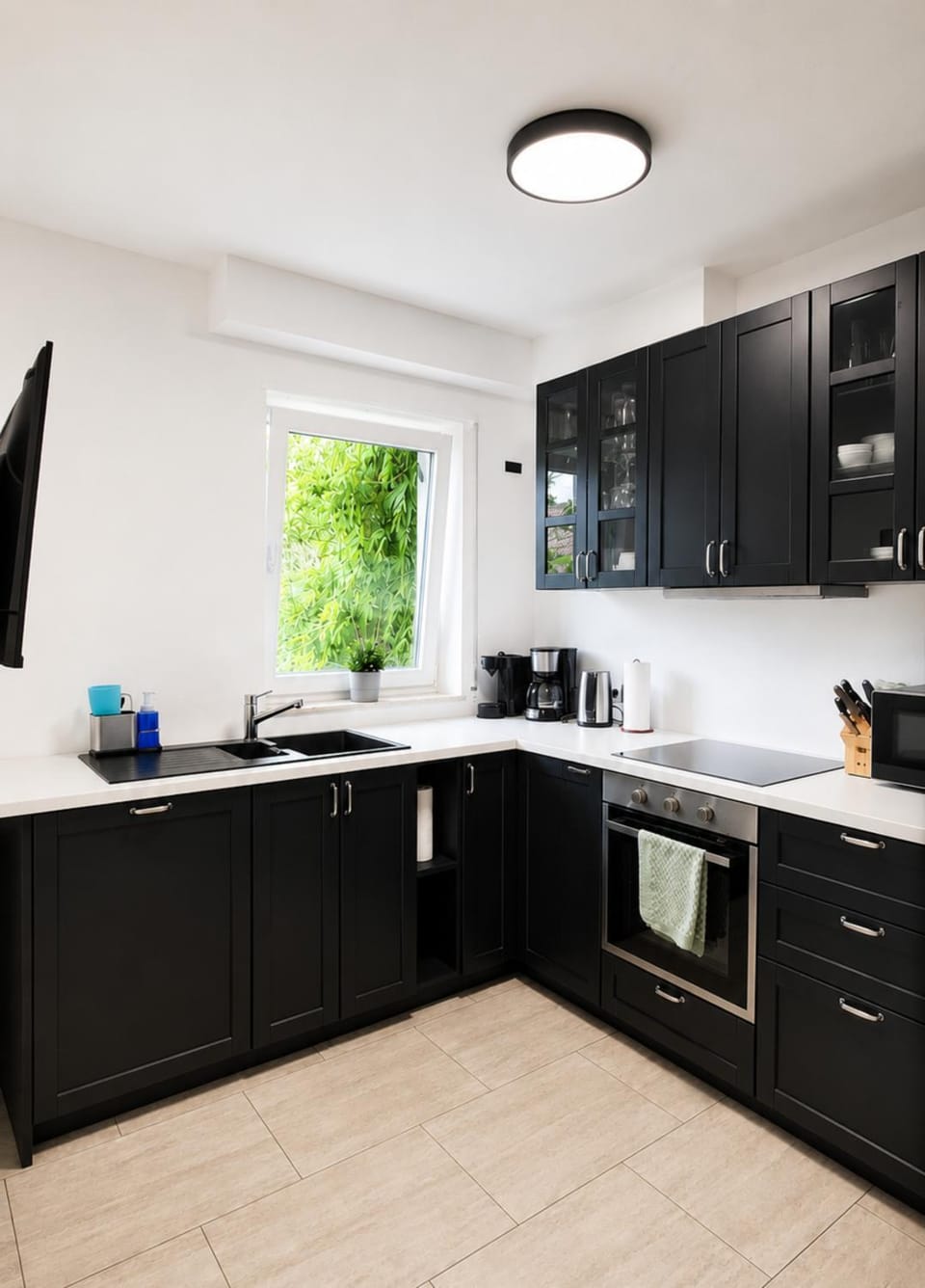 TV and multimedia, dishwasher, microwave, kitchen
