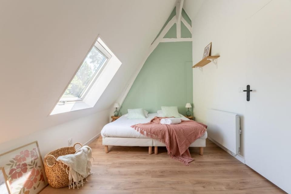 Bed, Photo of the whole room, Bedroom, towels