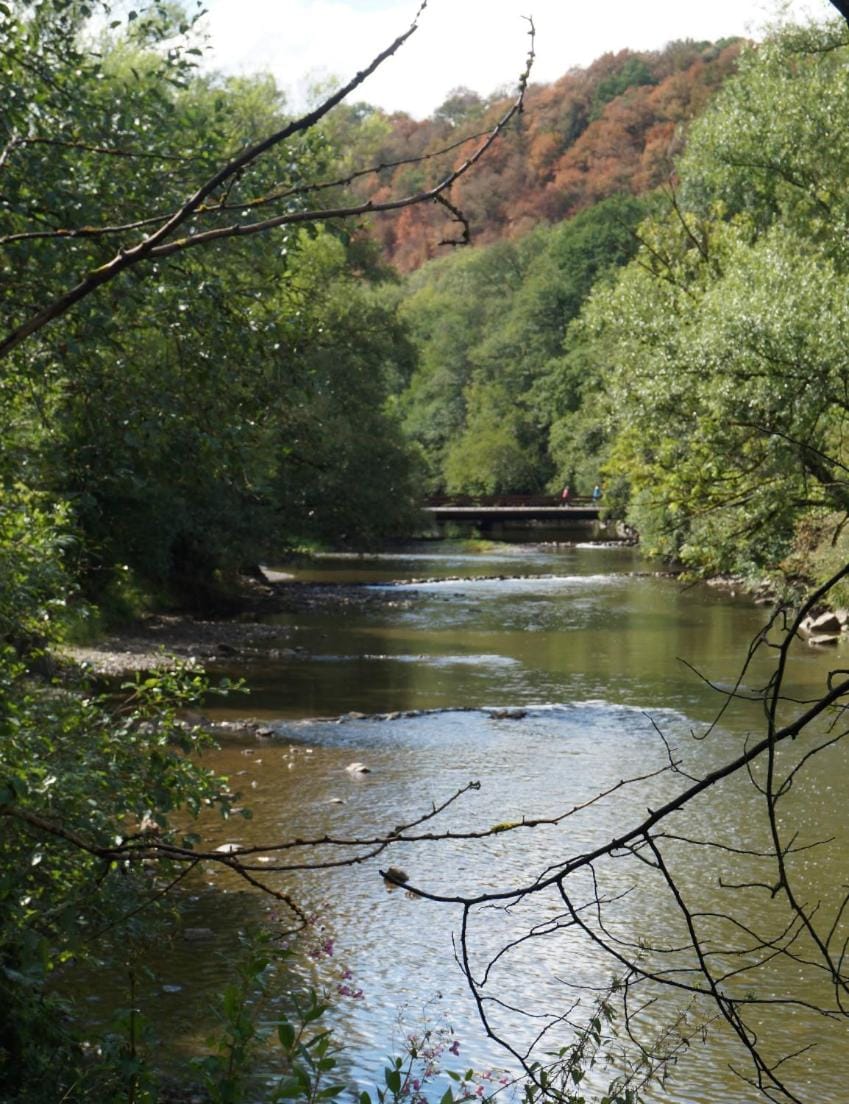 Nearby landmark, Natural landscape, River view