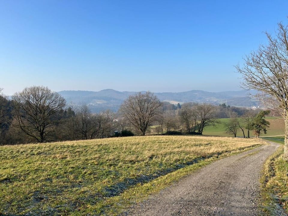 Natural landscape