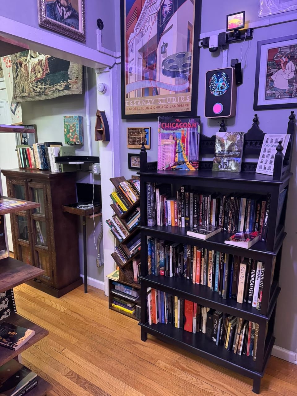 Tranquil Library 2brm 1bath private eclectic apt at Solar Lodge Apartment in Chicago