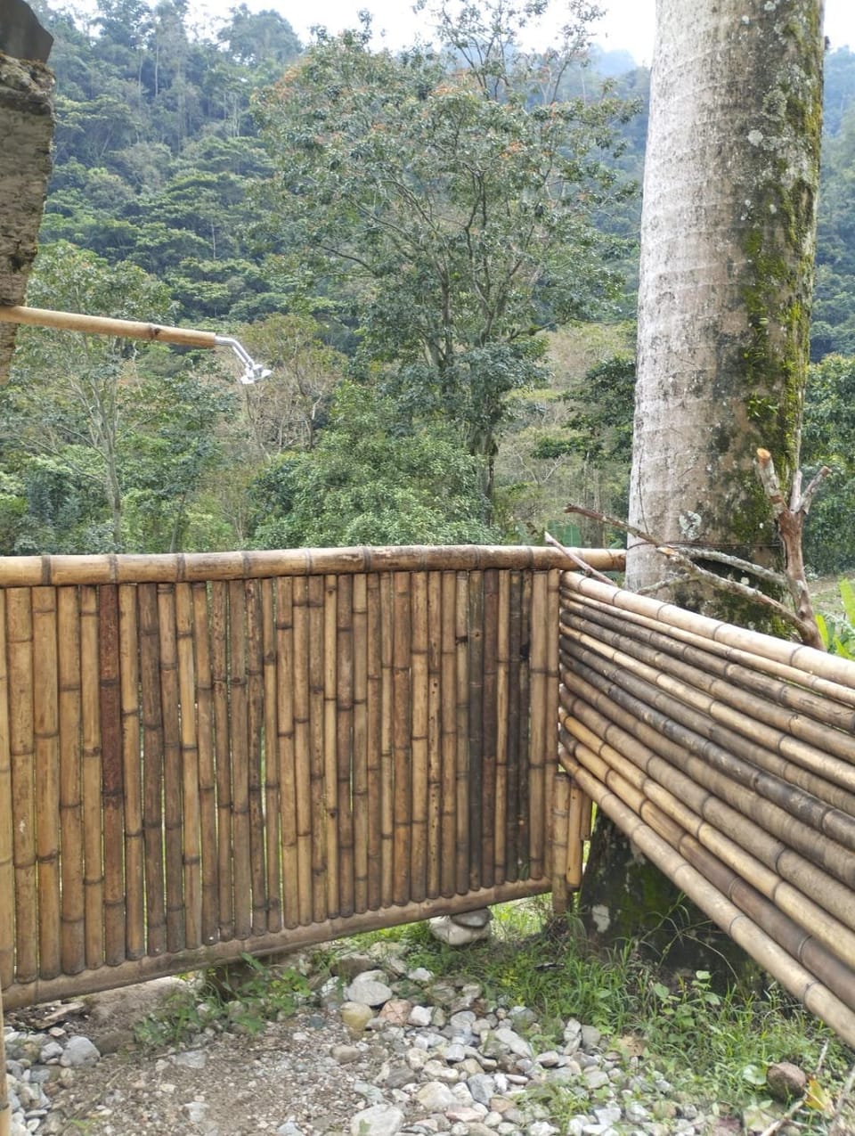 Shower, Garden view