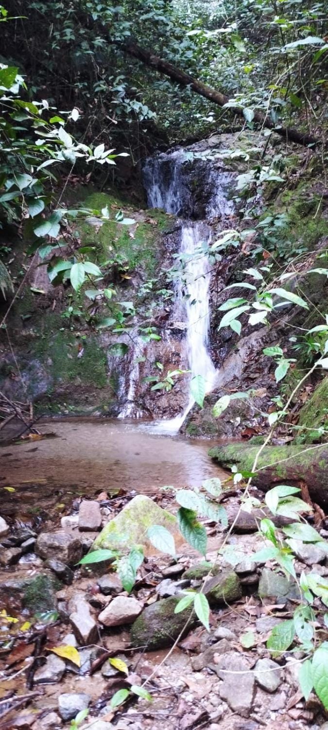 Nearby landmark, Natural landscape