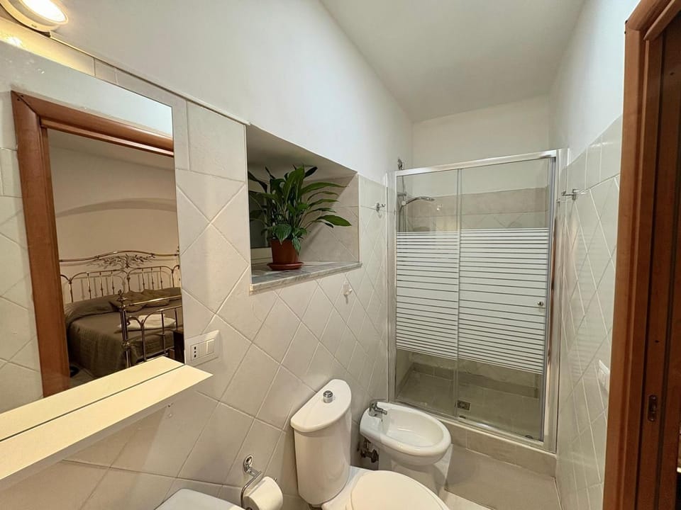 Shower, Toilet, Bathroom, bidet, towels