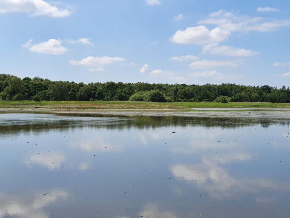 Lake view