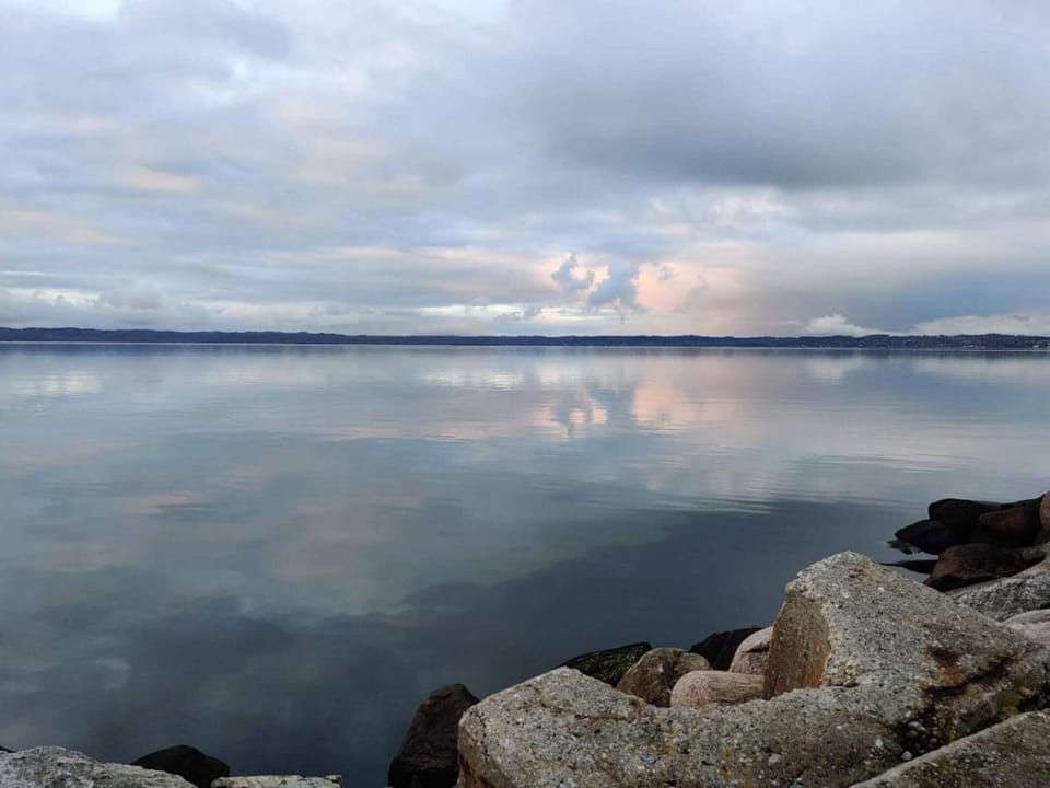 Lake view
