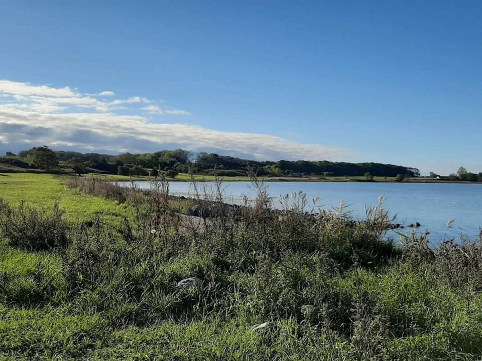 Lake view