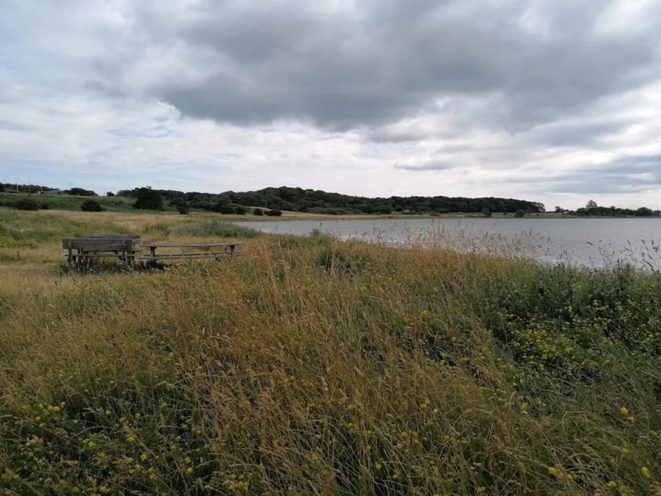 Lake view