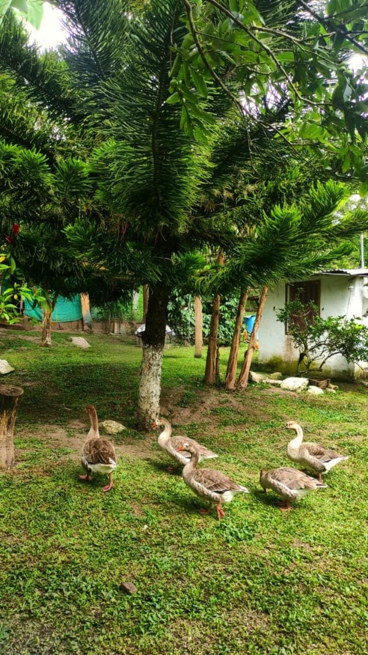 Cabaña Orquidea Campestre Luxury tent in Fusagasugá