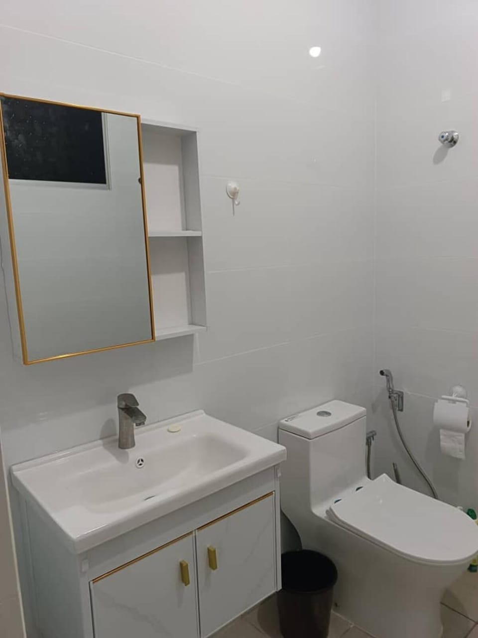 Toilet, Bathroom