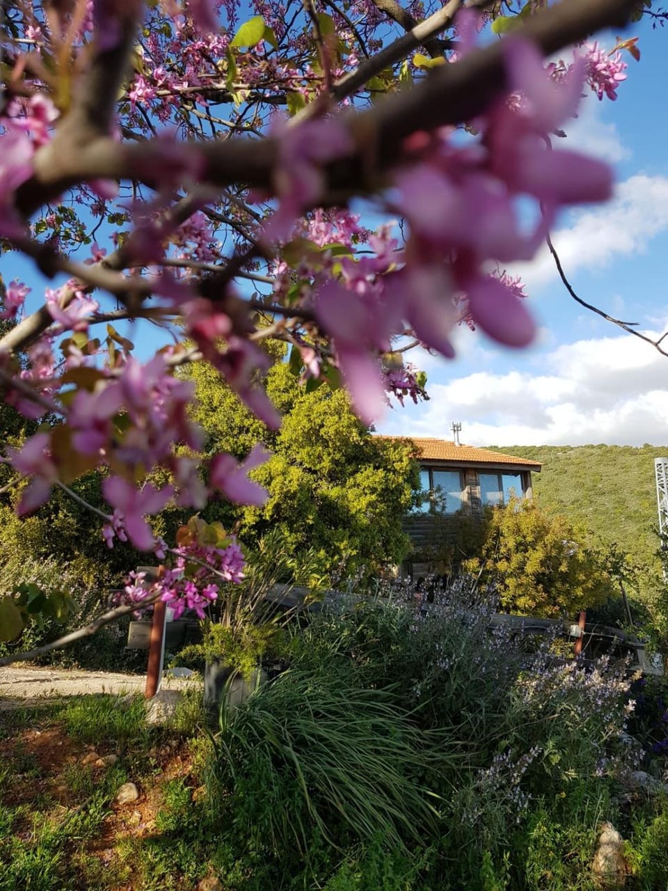The Edge Of The Village - Shefer Nature lodge in North District