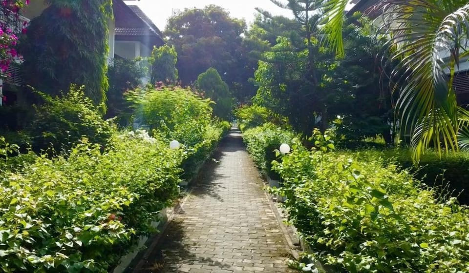 Natural landscape, Garden view