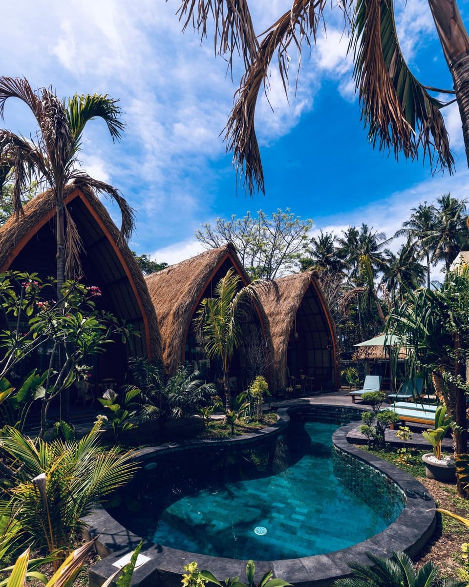 Day, Natural landscape, Garden, Garden view, Pool view, Swimming pool, sunbed