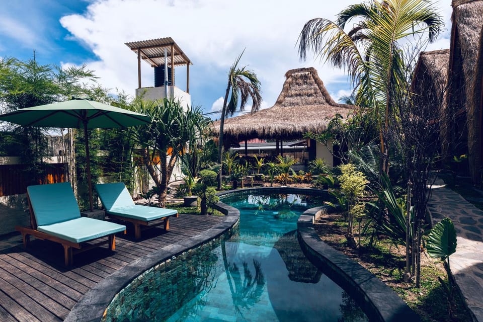 Natural landscape, Garden, Garden view, Pool view, Swimming pool, sunbed