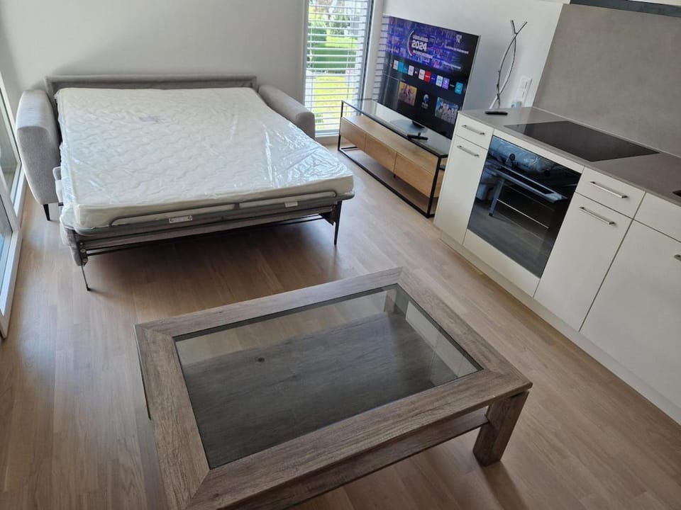 Zürich apartment, 38 sqm Apartment in Zurich City