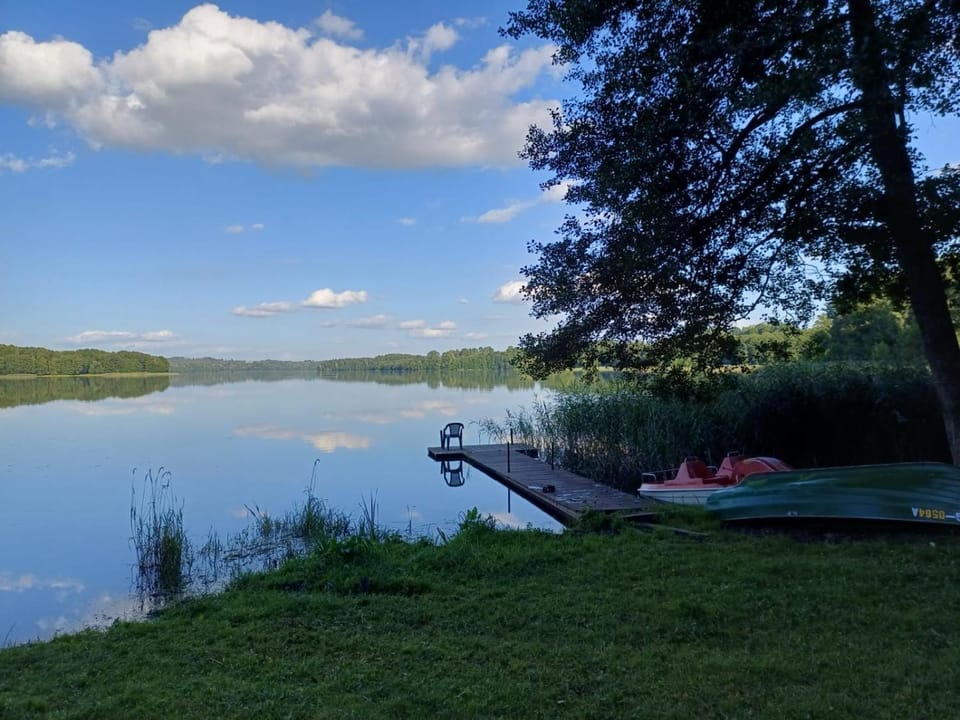 Lake view