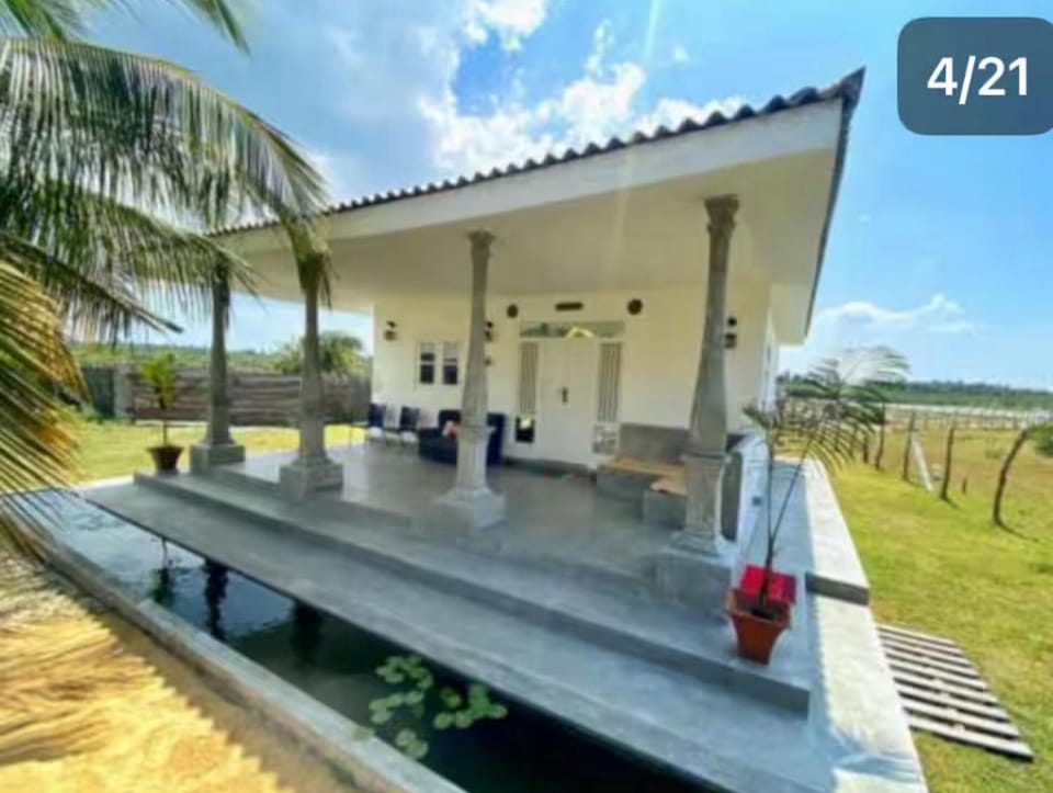 Garden, Balcony/Terrace, Garden view