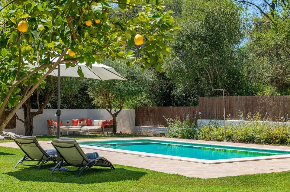 Patio, Spring, Day, Garden, Garden view, Pool view, Swimming pool, sunbed