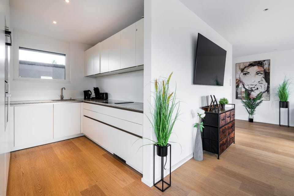Kitchen or kitchenette, stove, toaster