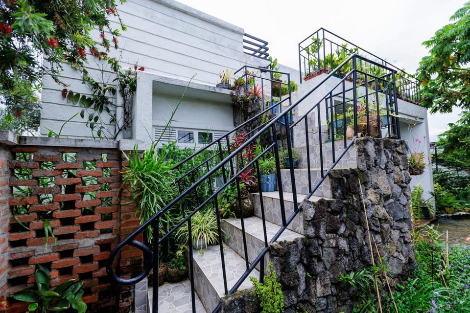 Property building, Garden, Garden view
