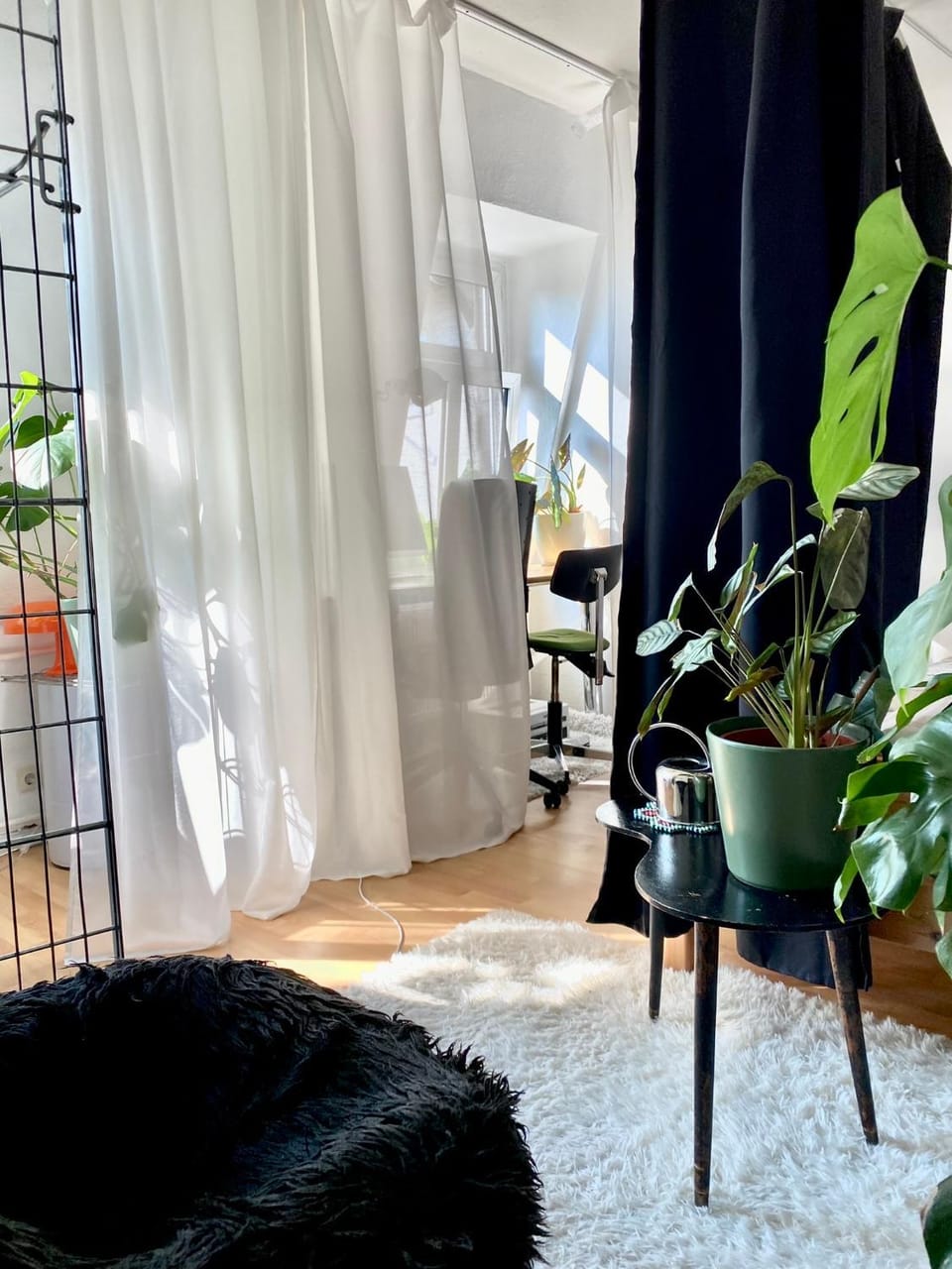 Cosy Sunset Flat - Kongress Palais & Herkules View Apartment in Kassel