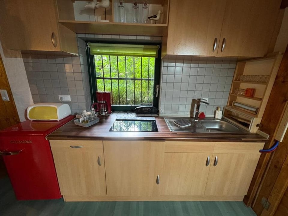 Kitchen or kitchenette, pet friendly