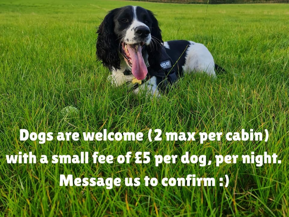 pet friendly