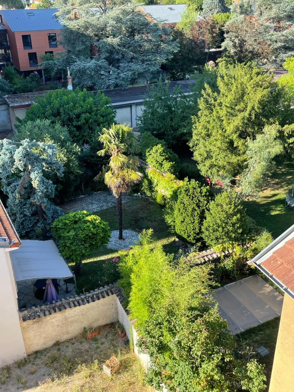 Garden view