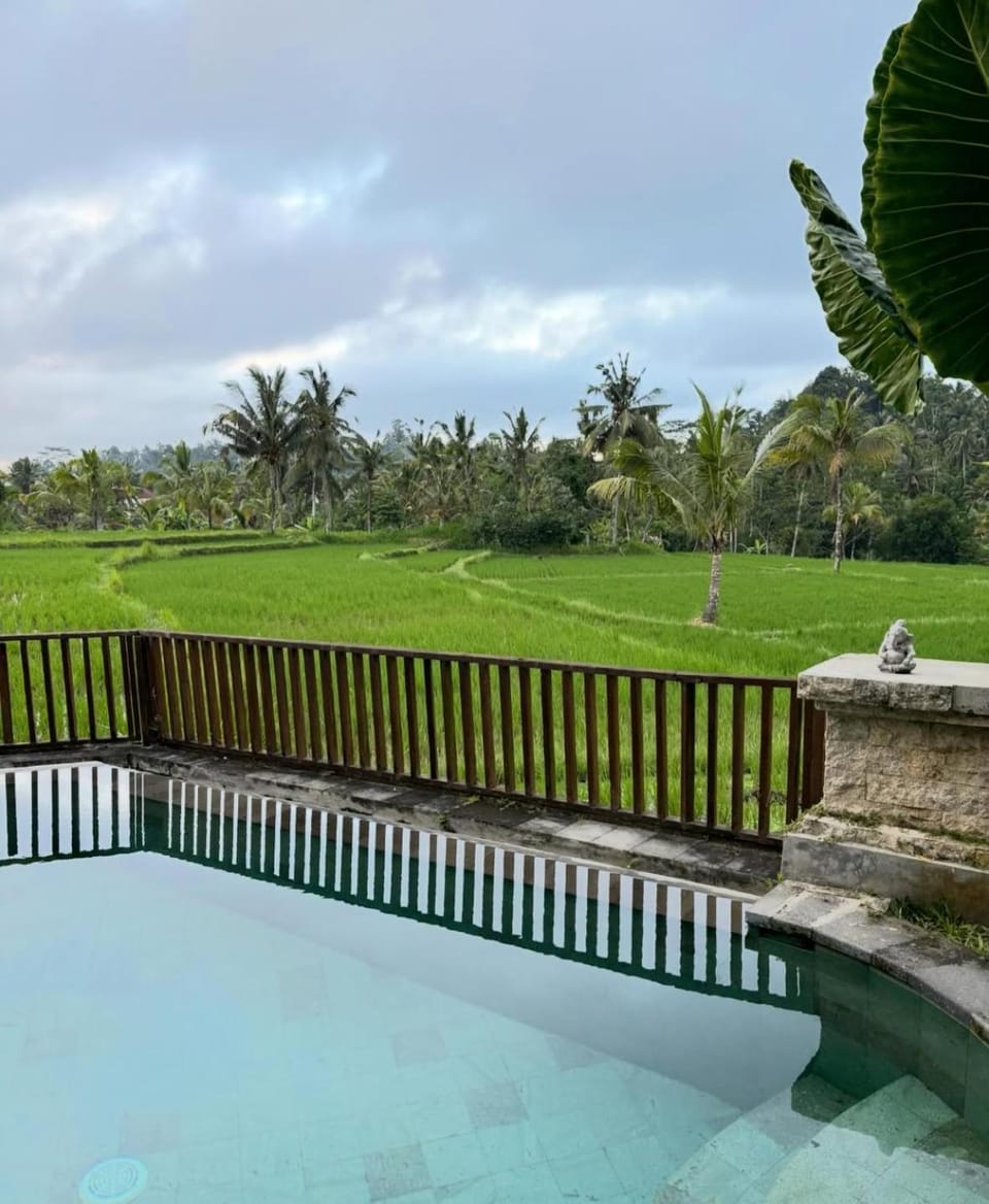 Day, Natural landscape, Pool view, Swimming pool