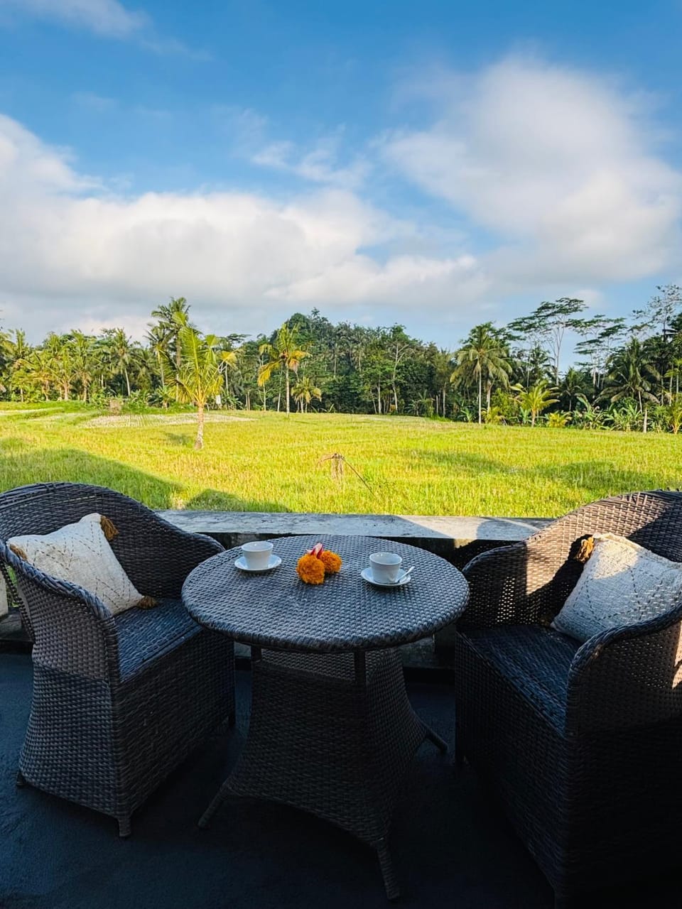 Natural landscape, Seating area, Garden view