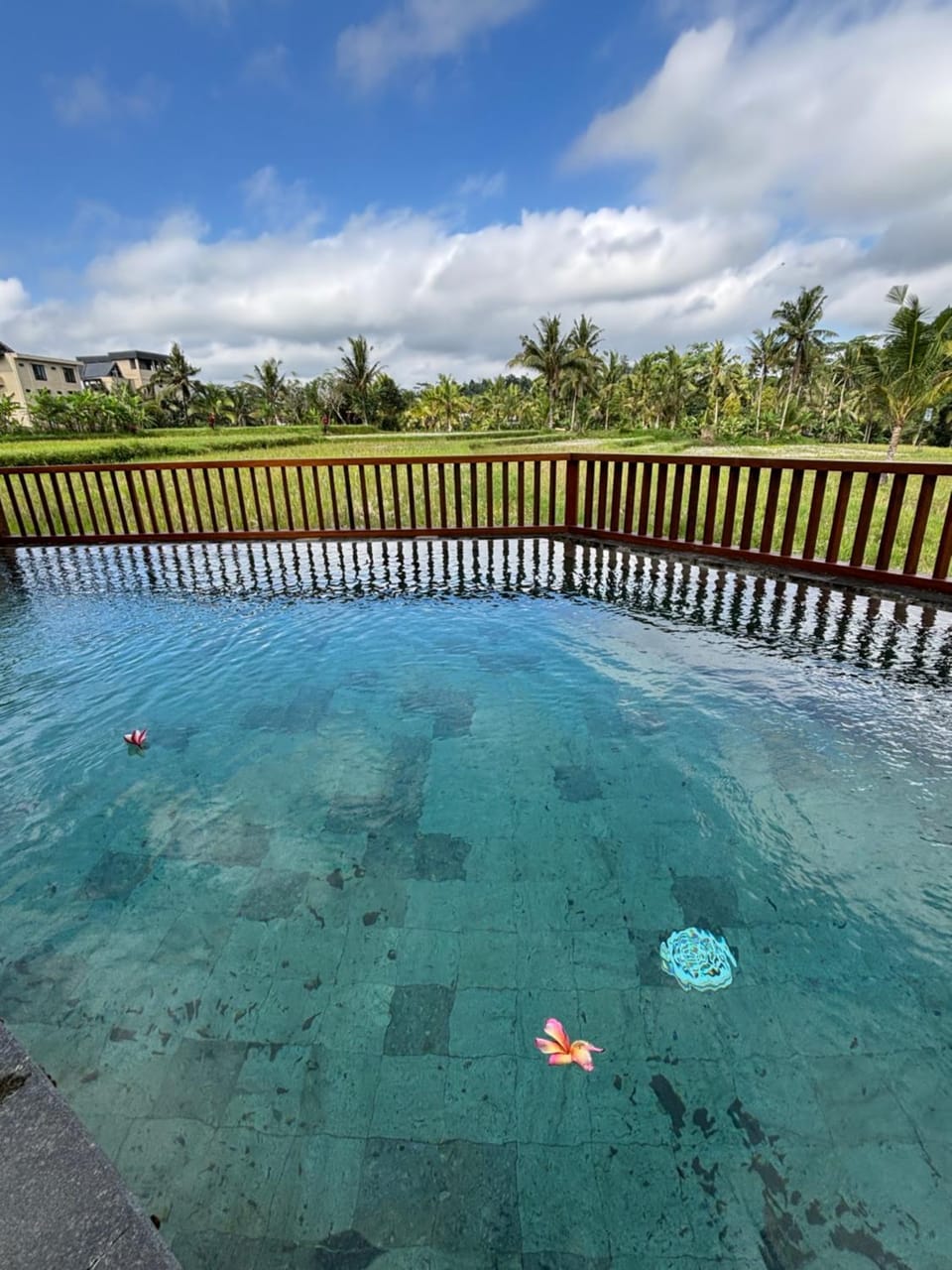 Day, Pool view, Swimming pool