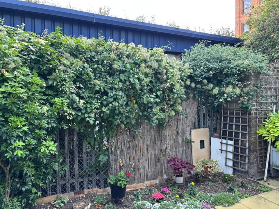 Property building, Spring, Day, Garden, Garden view